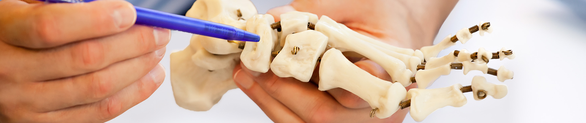 Orthopedic Surgery & Trauma 