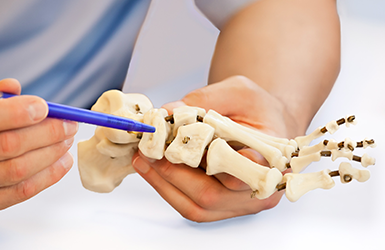 Orthopedic Surgery & Trauma 