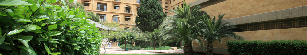 Mission, Vision and Values