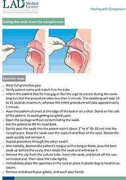 Taking the swab from the nasopharynx