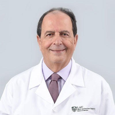 Michel  Samaha 