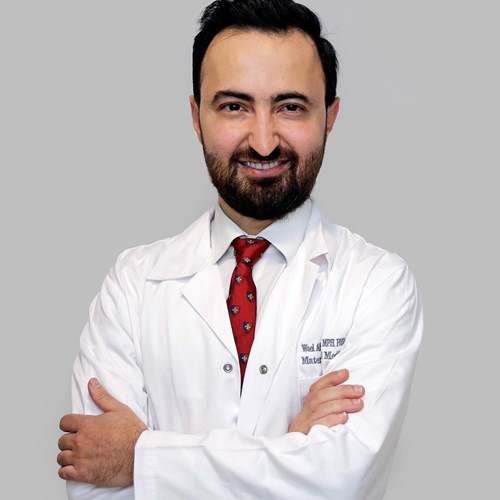 Wael Abdallah 
