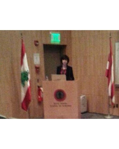 LAU Medical Center-Rizk Hospital at MEMA