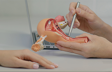 Fertility Center Fertility Center